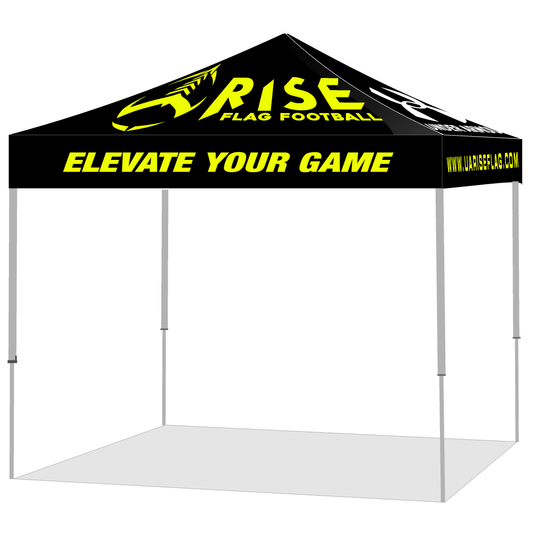 Canopy 10ft x 10ft and Aluminum Frame